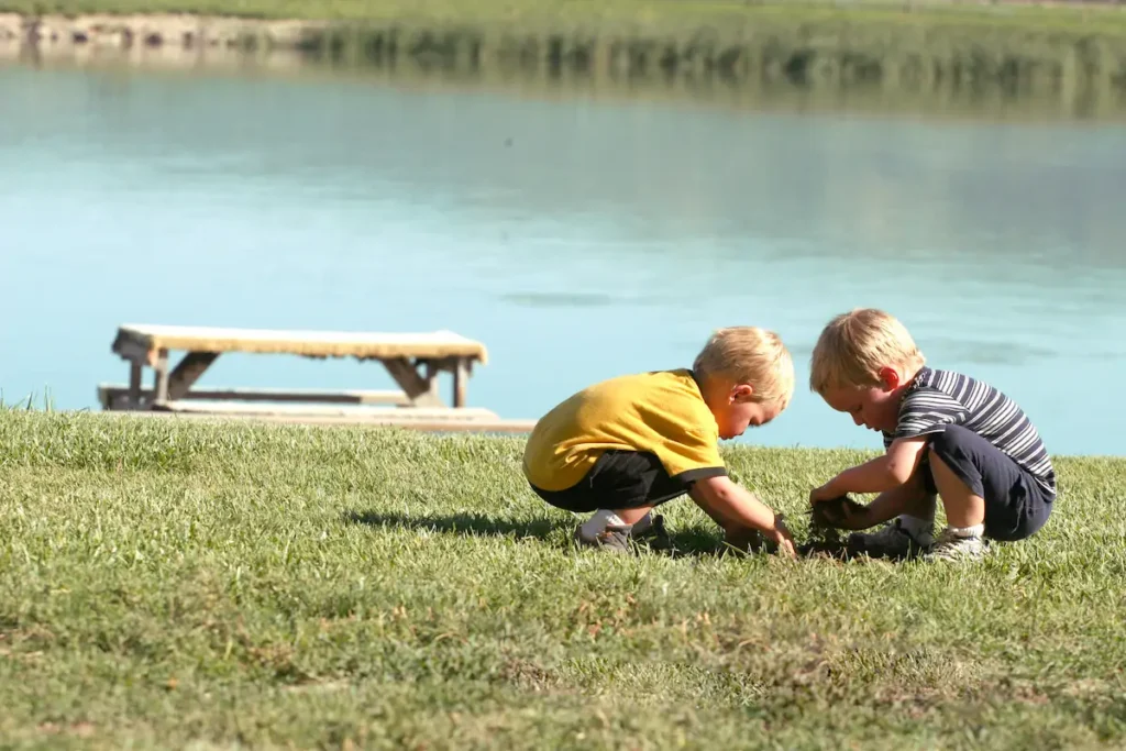 Pojkar utforskar naturen vid sjön på en solig dag.